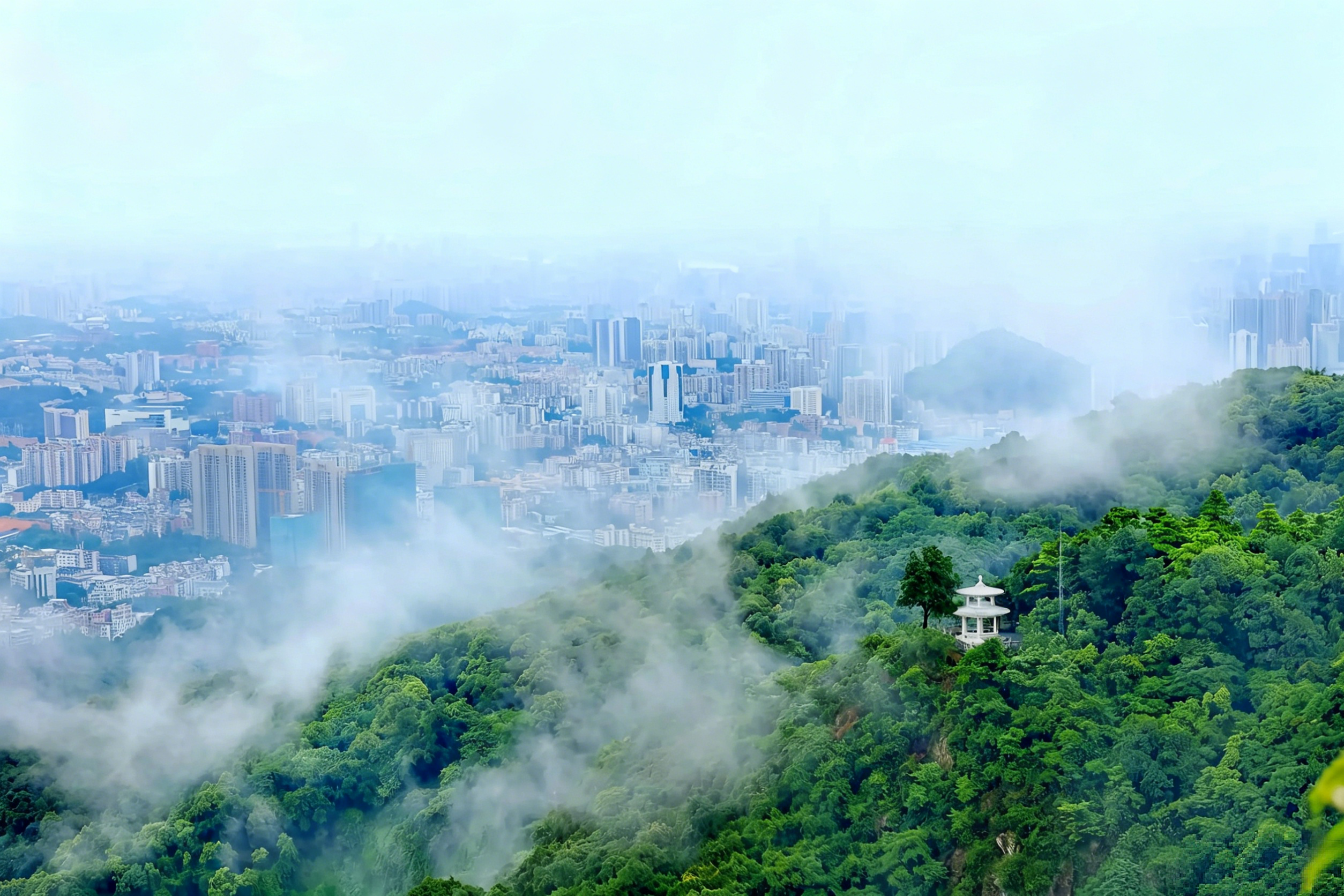 Morning mist rolling through the forested slopes of Baiyun Mountain — Guangzhou's green lung