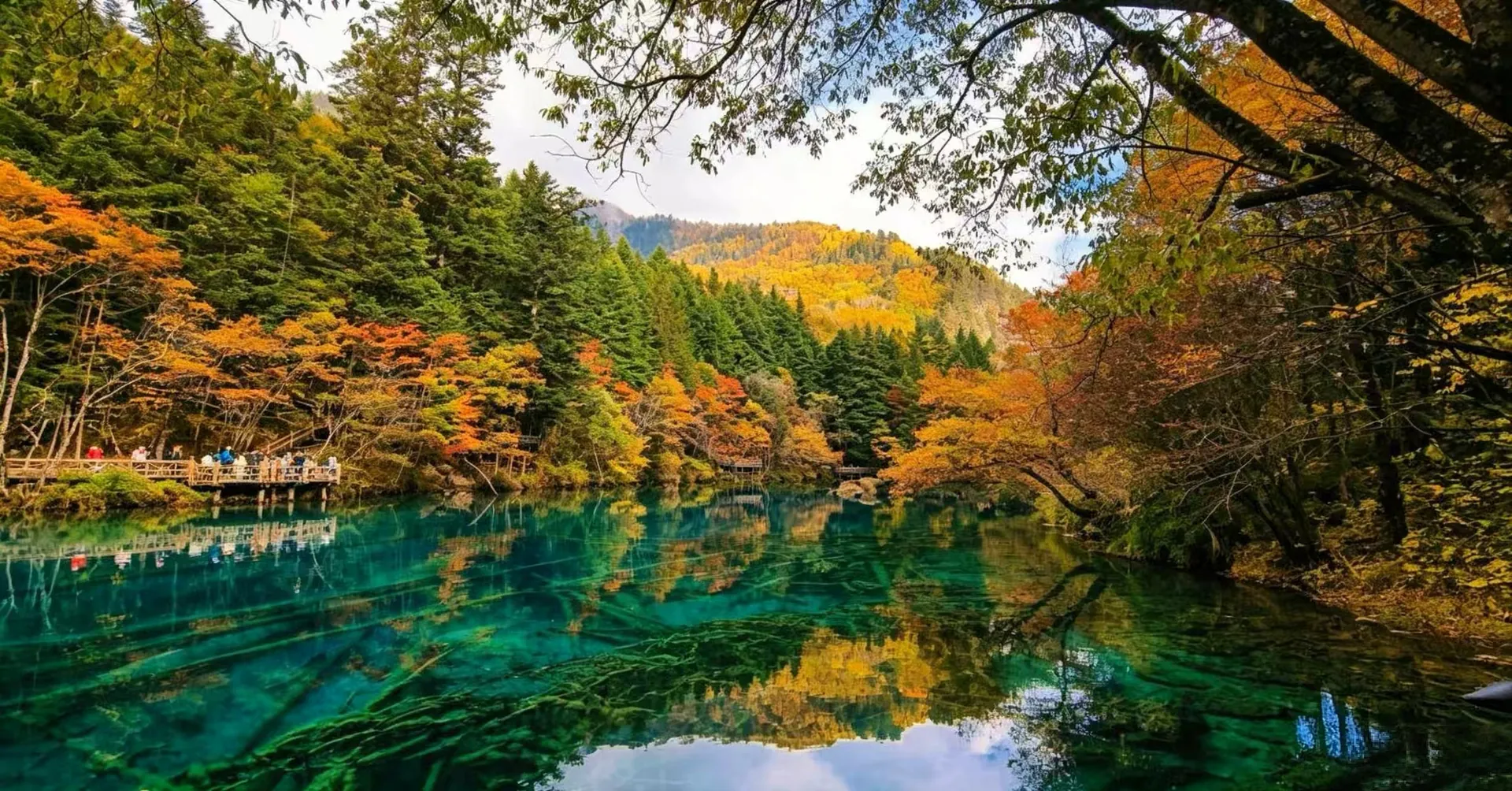 Jiuzhaigou Travel Guide: Turquoise Lakes, Waterfalls & Alpine Valleys