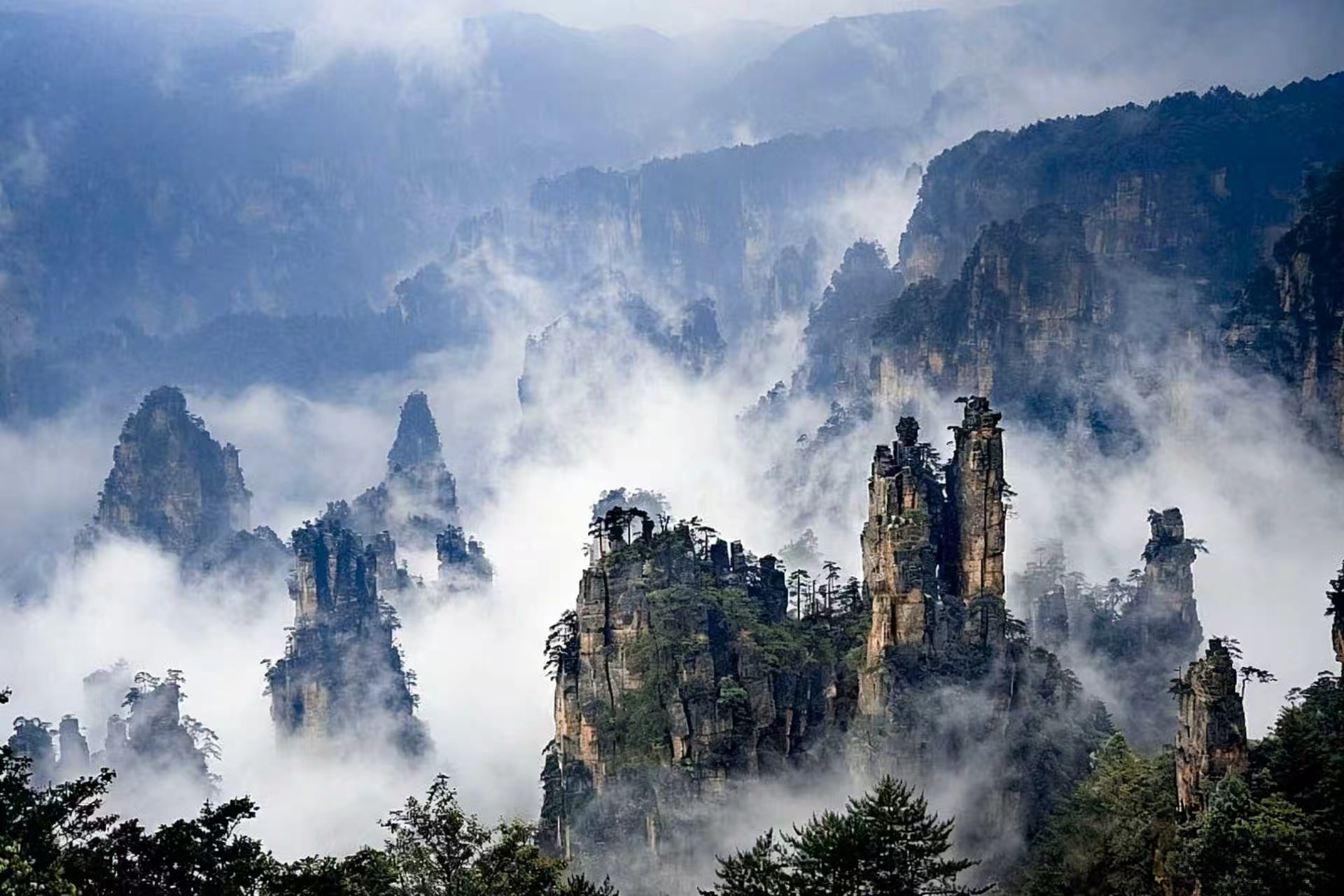 Zhangjiajie's quartz-sandstone pillars rising through mist — the real-world inspiration for Avatar's Hallelujah Mountains