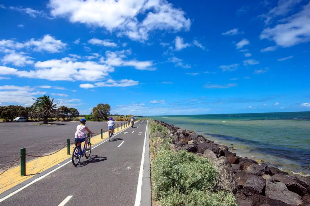 The coastal cycling path on Xiamen's Island Ring Road — blue sea, palm trees, and bougainvillea