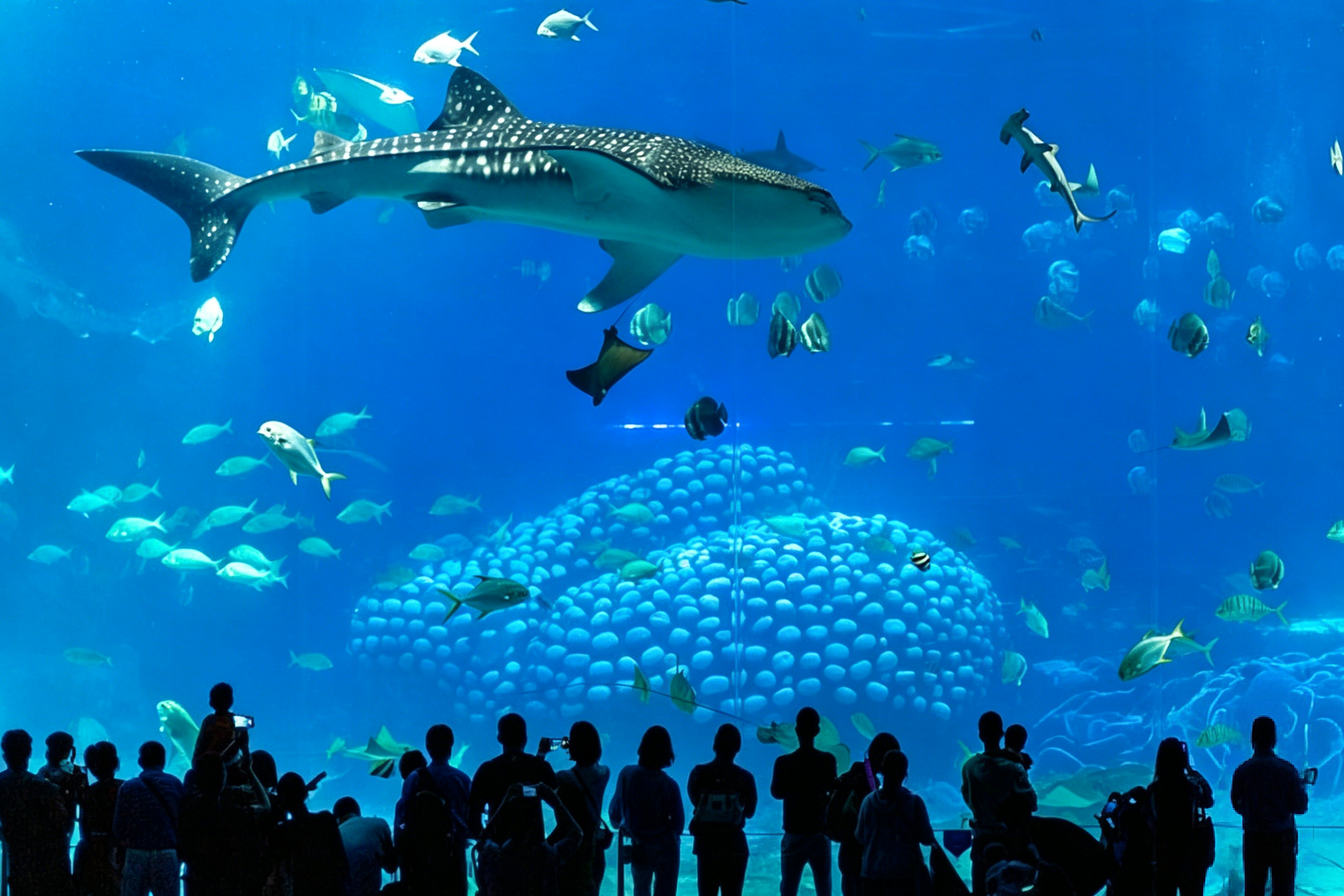 The Whale Shark Pavilion at Chimelong Ocean Kingdom — the largest aquarium window on Earth